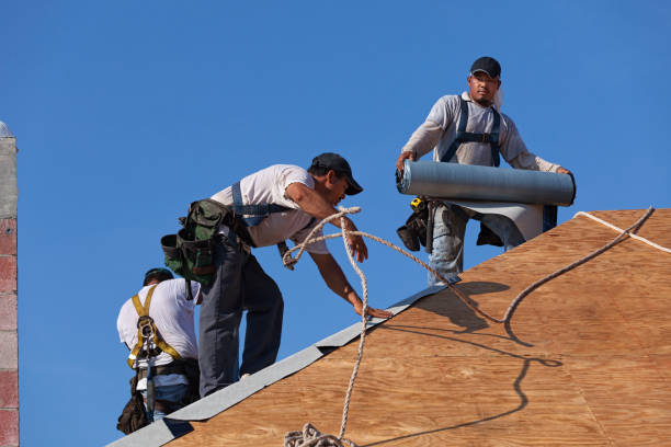 Best Commercial Roofing Services  in Palos Hls, IL