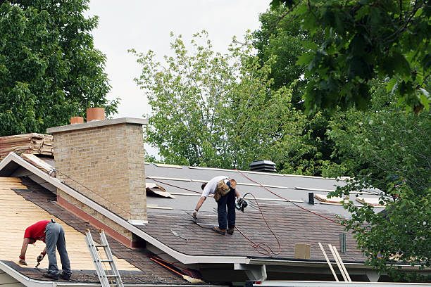 Best Storm Damage Roof Repair  in Palos Hls, IL